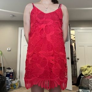 Express lace dress